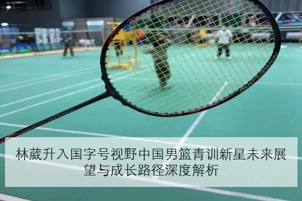 张志磊训练营公开重拳速度提升重量级对决前景全面看好